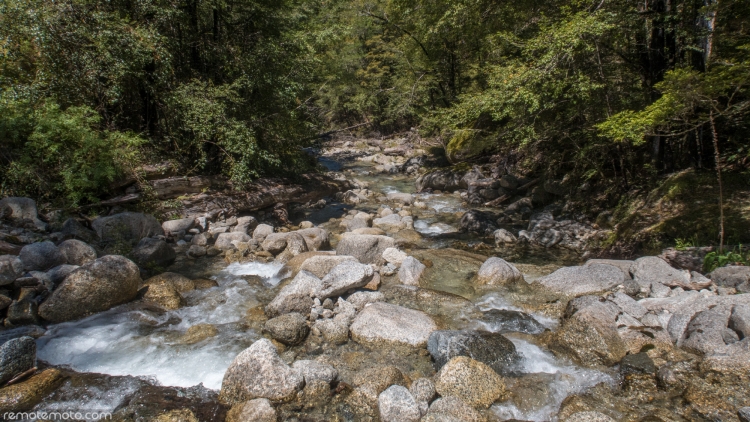 Looking downstream