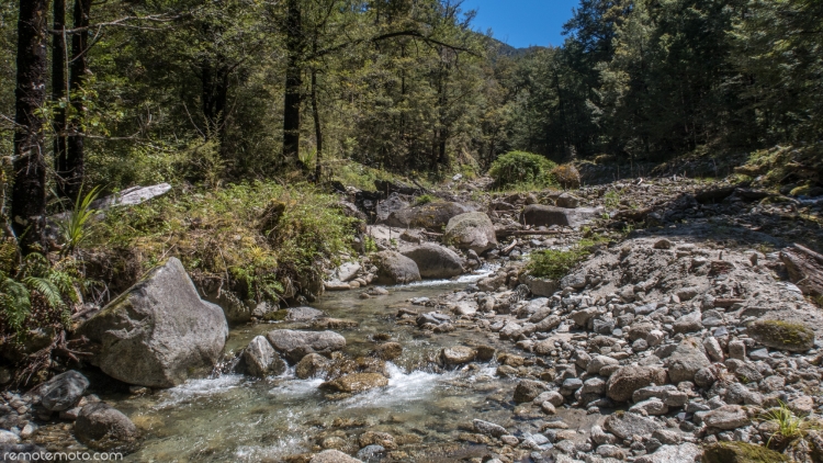 Looking upstream