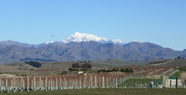 Mt Tapuae-O-Ueneku.