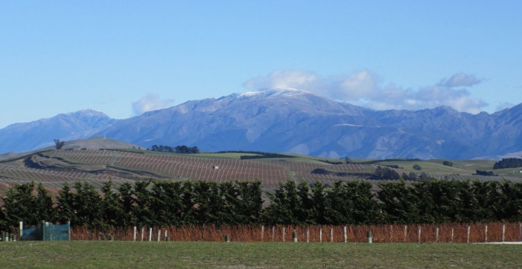 Mt Altimarloch in the centre.