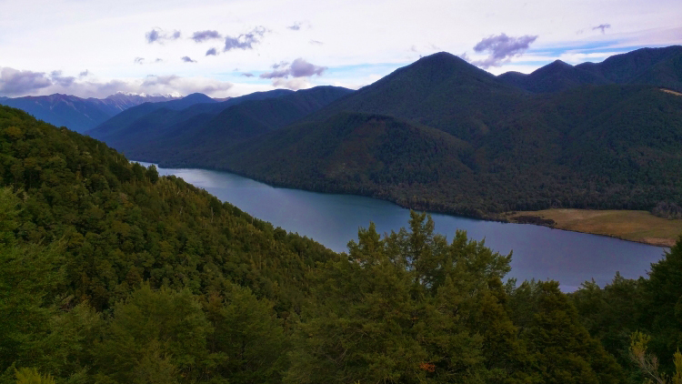 View from the lookout over lake Rotoroa