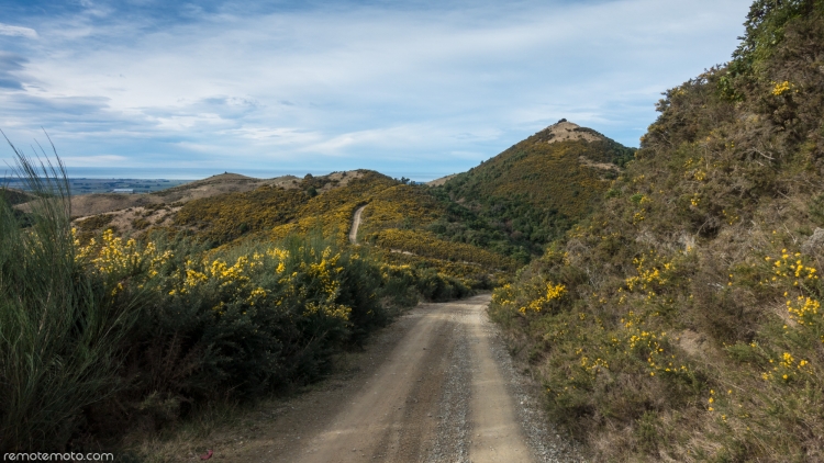 Mount Studholme Track