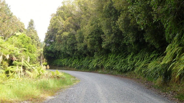 Waitaanga Road.