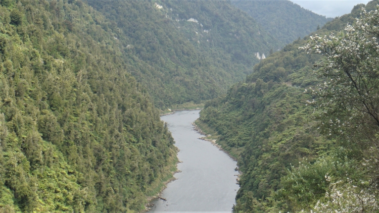 Whanganui River Lookout.