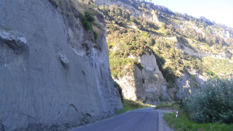 Whanganui River road.