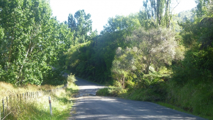 Whanganui River road.