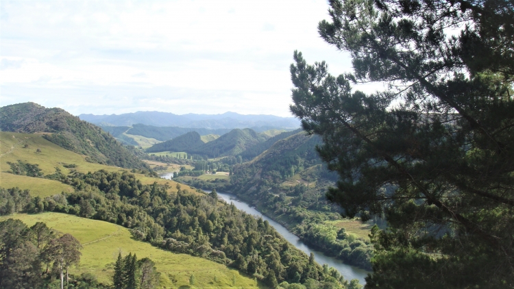 Whanganui River Lookout.