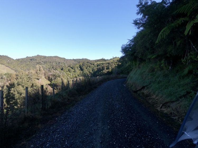 Owen Road, Turaerae Scenic Reserve.