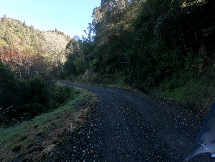 Turaerae Scenic Reserve.