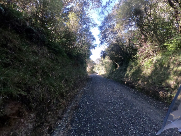 Turaerae Scenic Reserve.