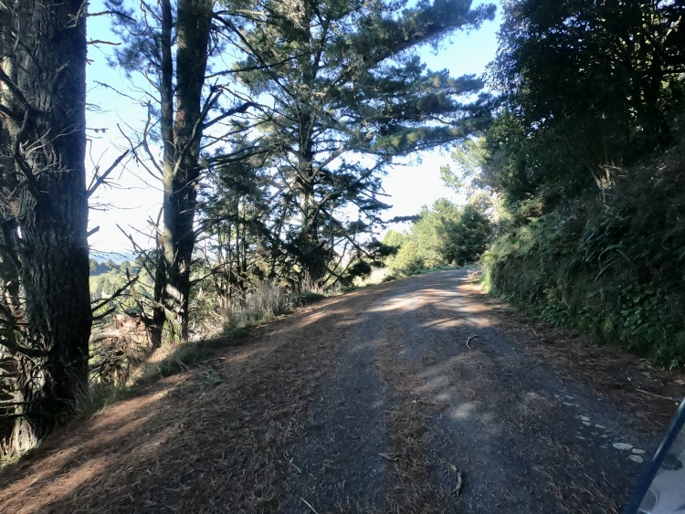 Takiri Road.